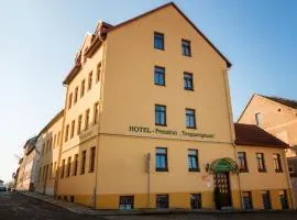 Hotel Pension Treppengasse Nr. 5, хотел в Алтенбург