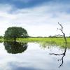 Aluguer de carro barato em Mato Grosso