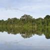 Aluguer de carro barato em Amapá