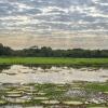 Tanie opcje wynajmu samochodu w regionie Mato Grosso do Sul