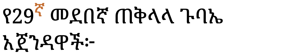 የ29ኛ መደበኛ ጠቅላላ ጉባኤ አጀንዳዋች፦