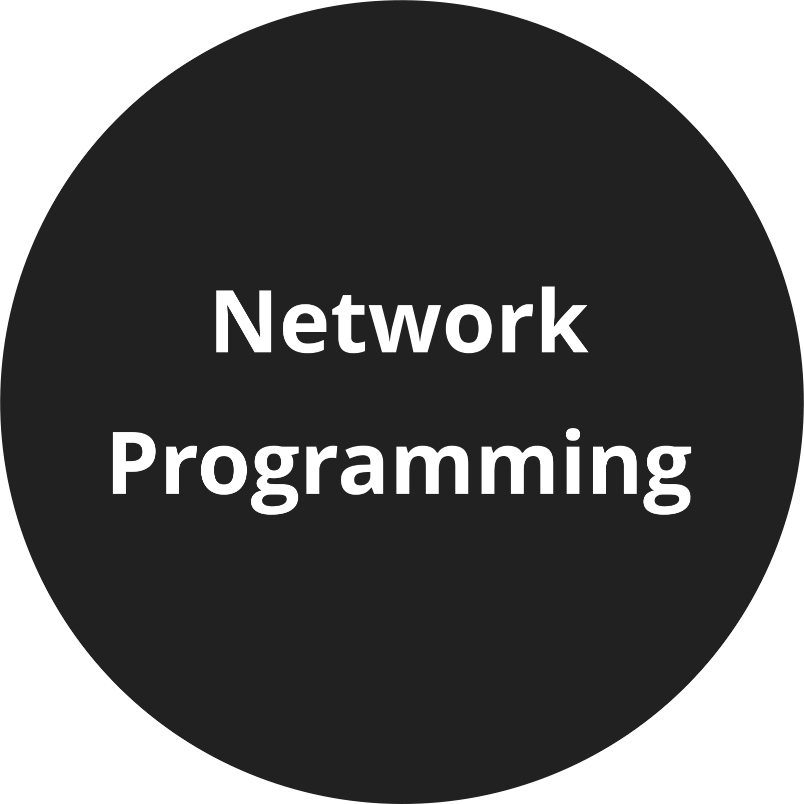 Network Programming