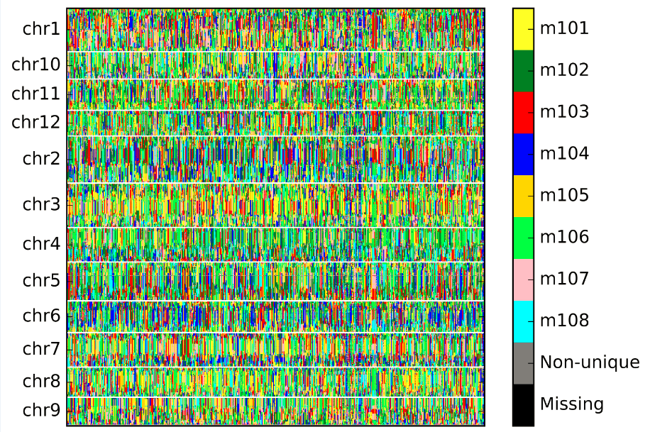 whole_genome_bin_map