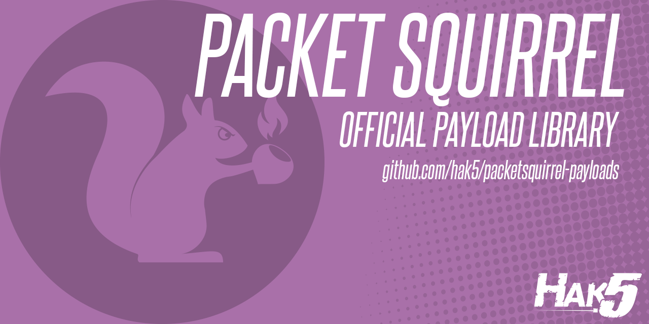 packetsquirrel-payloads