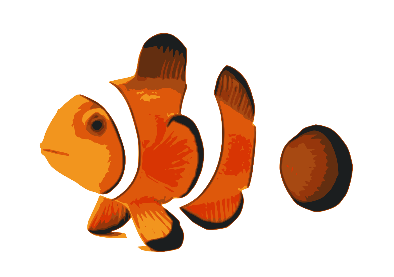 Clownfish