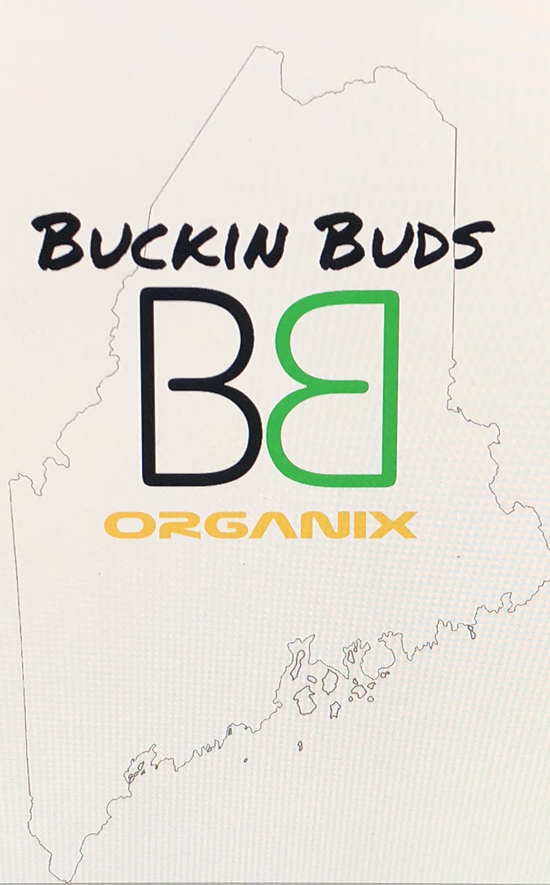 buckinbuds.io