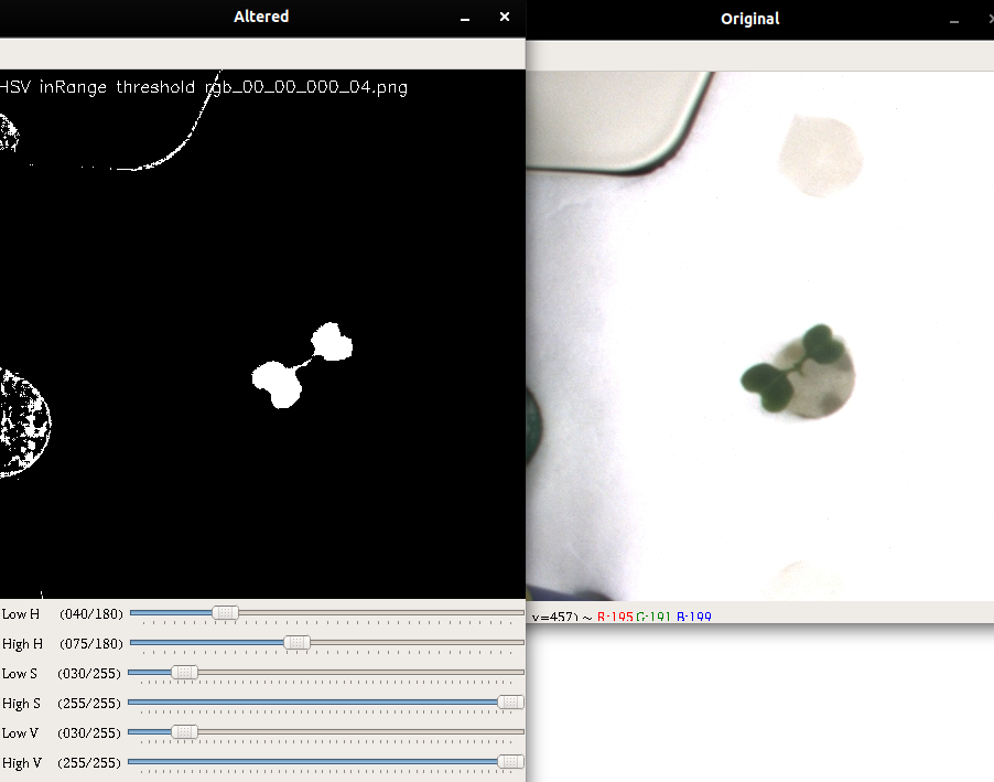 python-opencv-leaf-detection