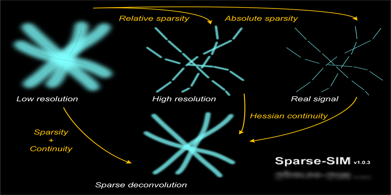 Sparse-SIM