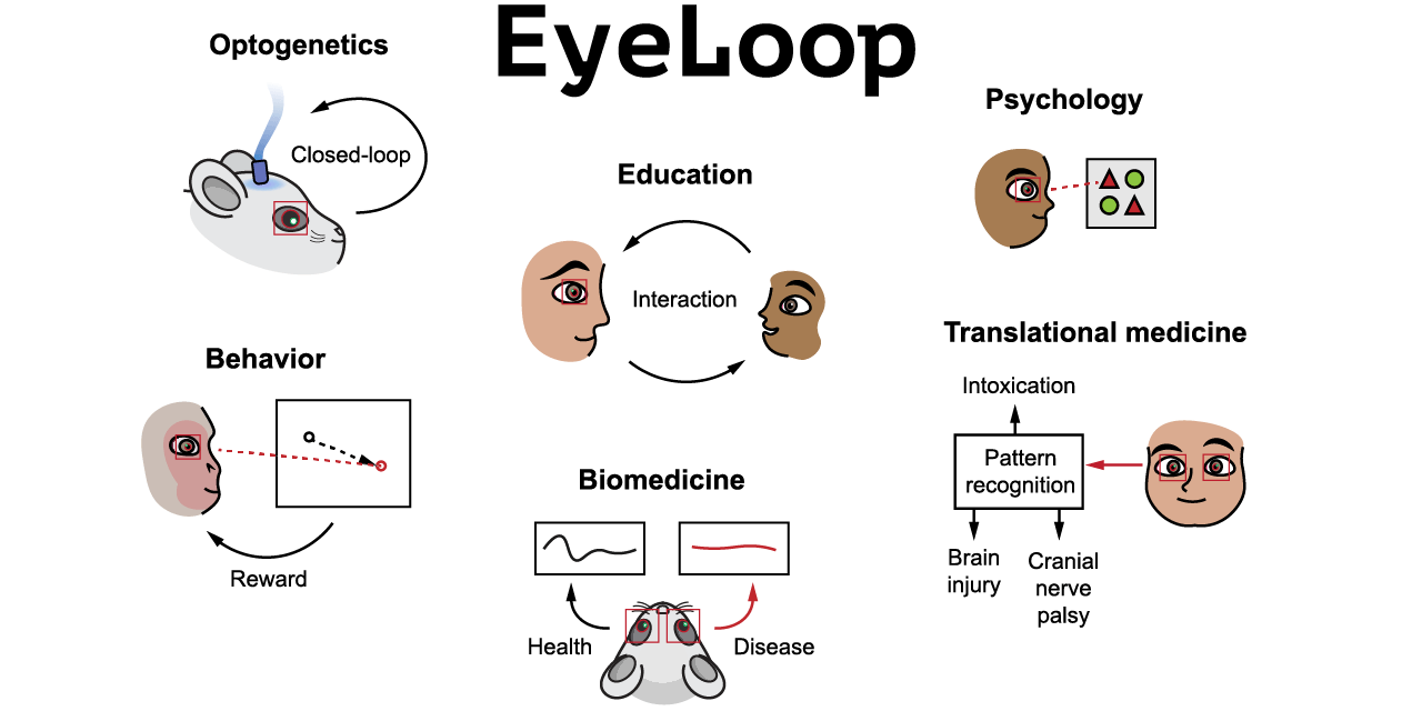 eyeloop