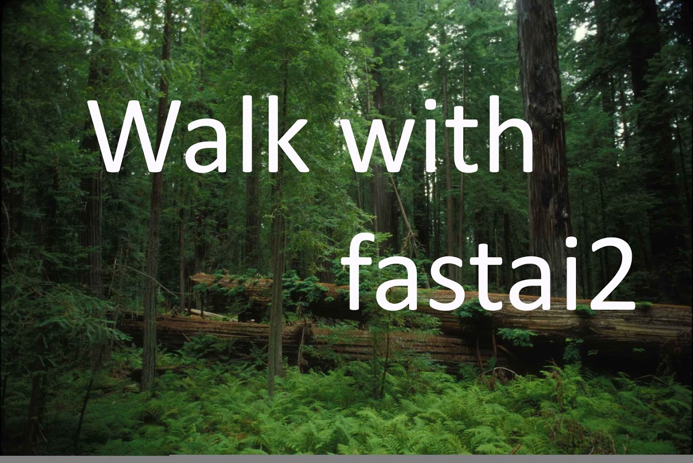 walkwithfastai.github.io