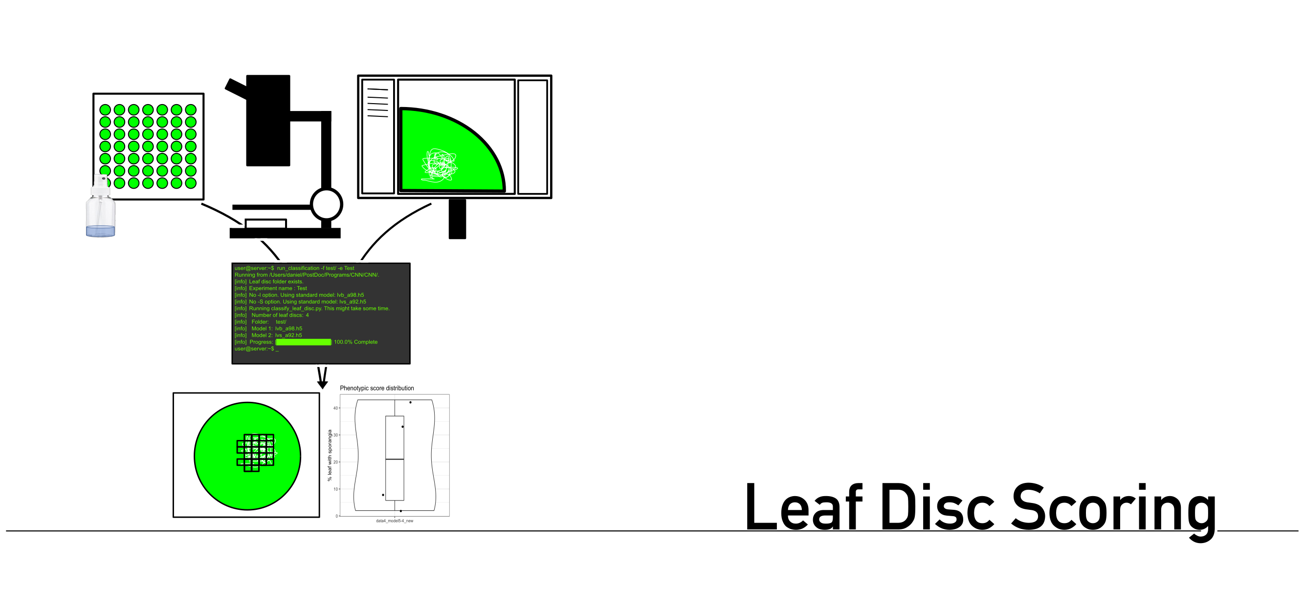 Leaf-disc-scoring