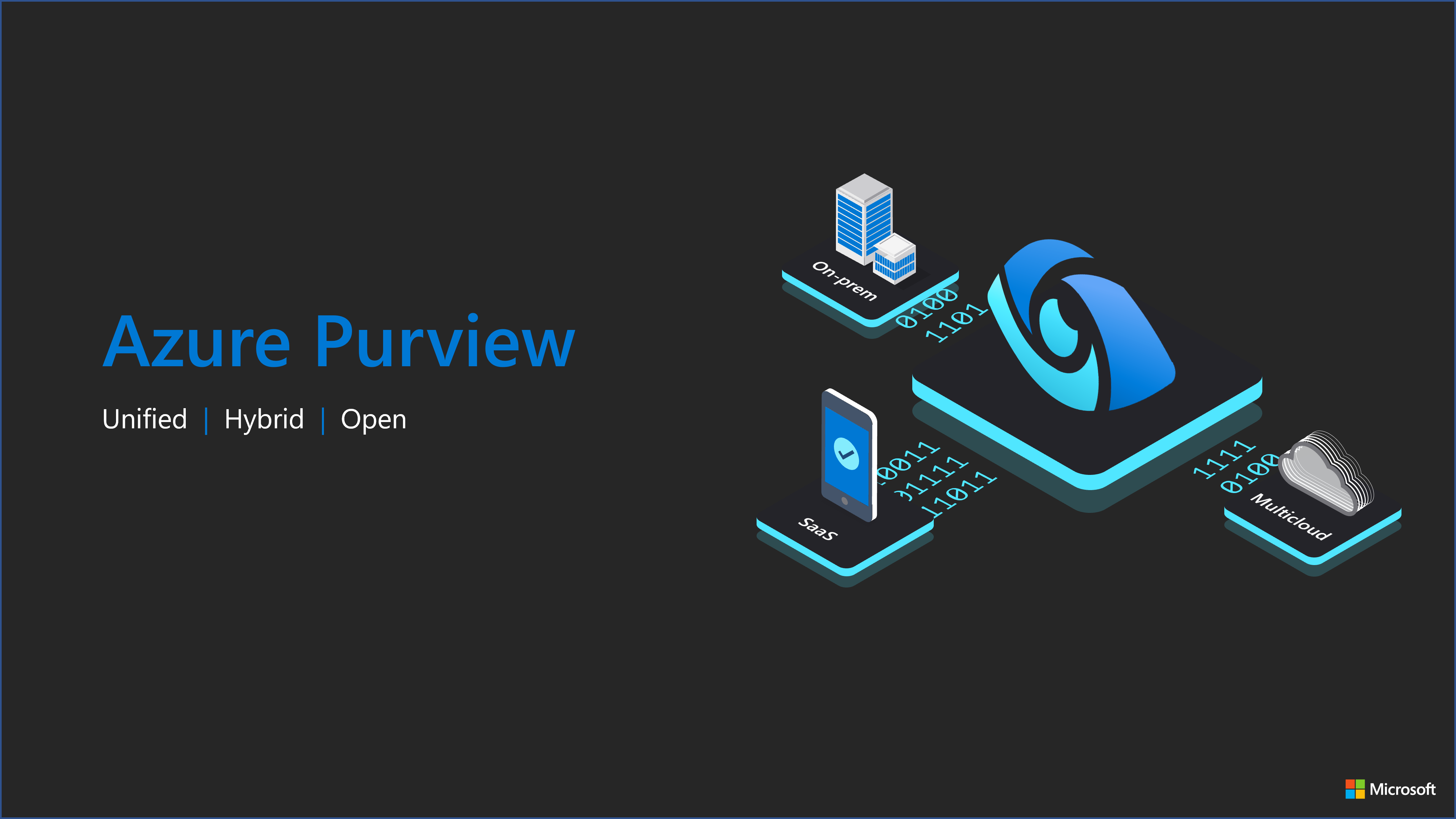 PurviewAccelerator