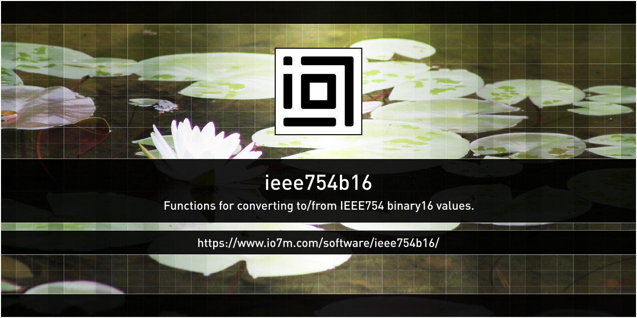 ieee754b16