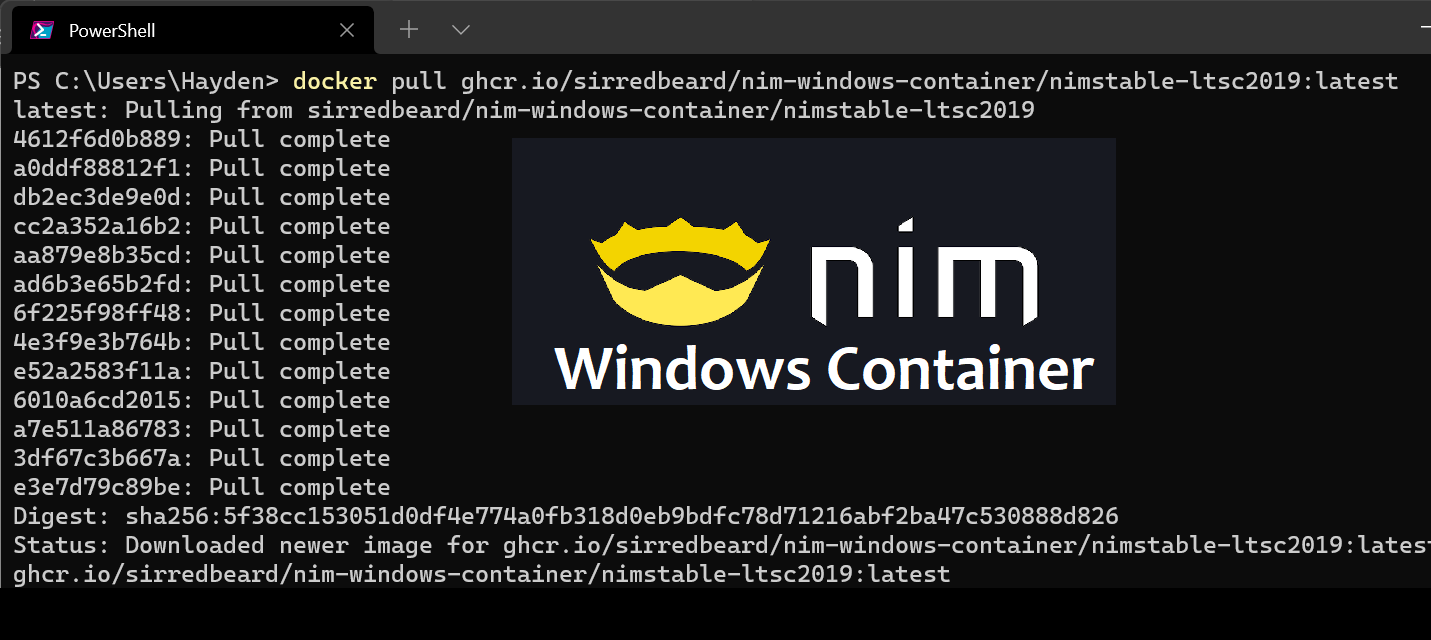 nim-windows-container