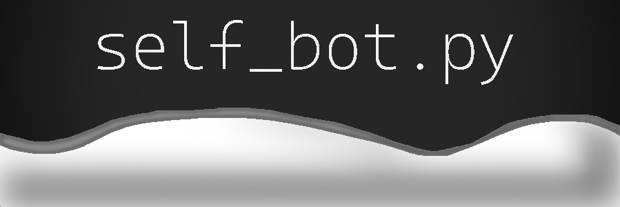 self_bot.py