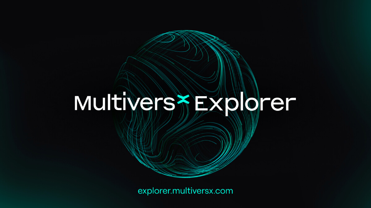 mx-explorer-dapp