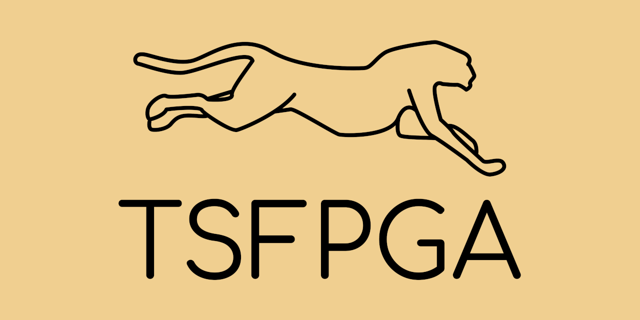 tsfpga