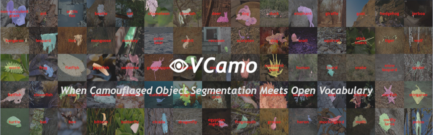 OVCamo