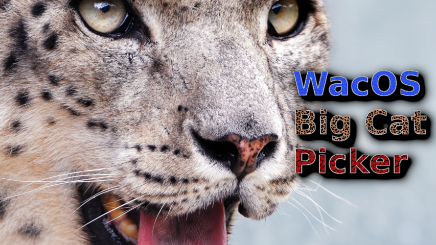 WacOS_Big-Cat-Picker