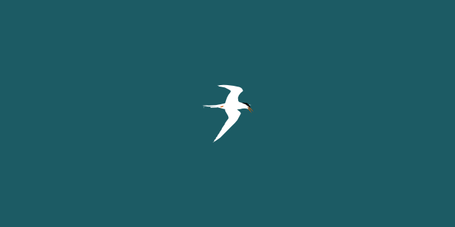 tern