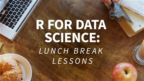 R-for-Data-Science-Lunchbreak-Lessons