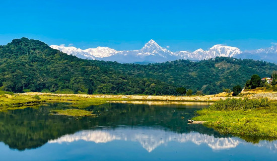 Mount Machhapuchhre reflected into Rupa Lake