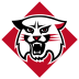 Davidson Wildcats