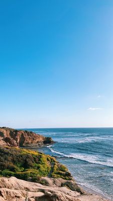 Photo of Sunset Cliffs Natural Park - San Diego, CA, US. Flowers are blooming right now