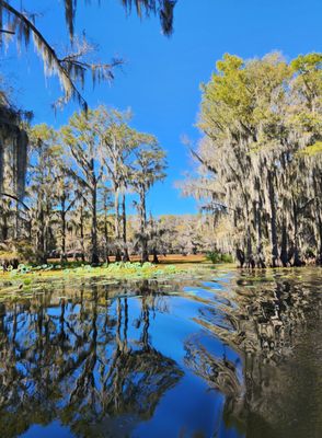 2. Captain Ron's Swamp Tours on Yelp