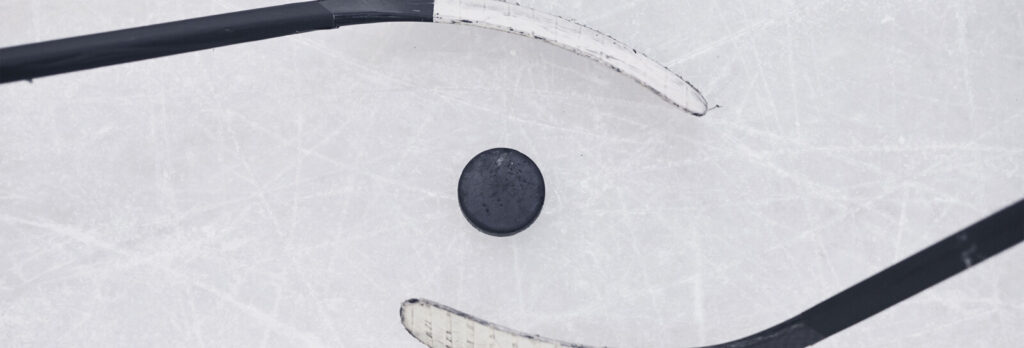 hockey puck and sticks