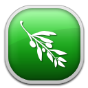 olive-editor avatar