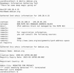 Deepmagic Information Gathering Tool