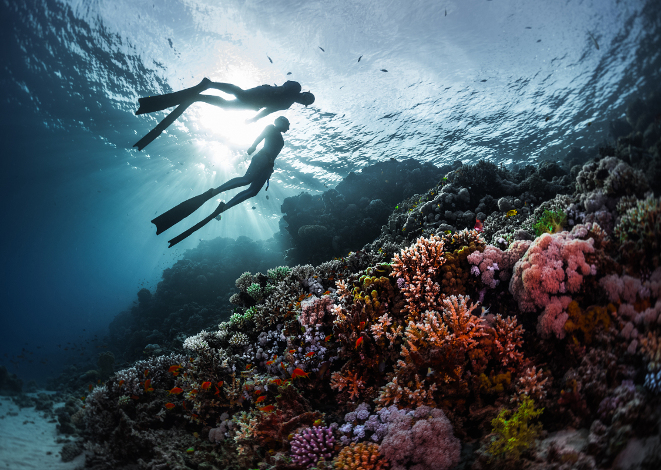 Freediving