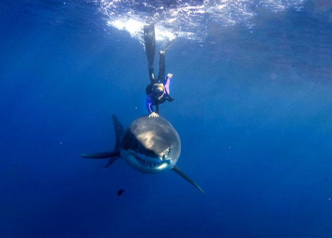 Ocean Ramsey