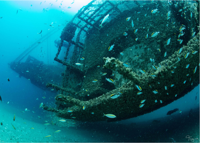 Ex-HMAS Tobruk bow featured