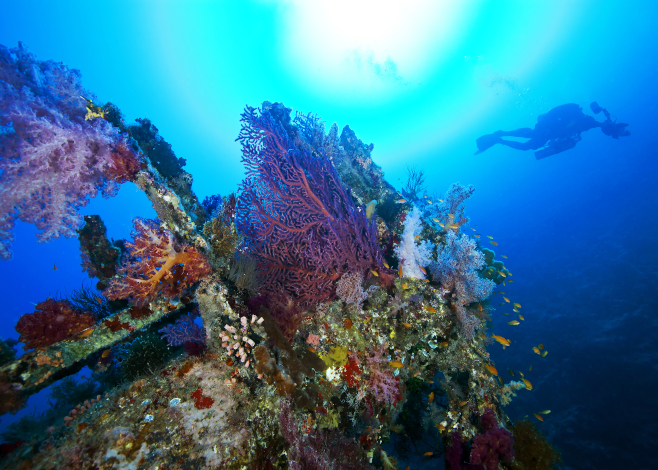 artificial reefs