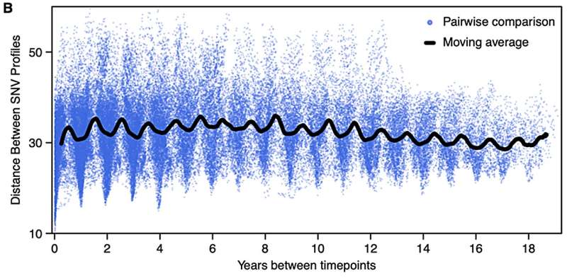 Some bacteria evolve like clockwork with the seasons