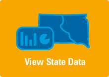 View State Data