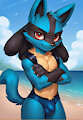 Lucario in a speedo by Fusionxglave