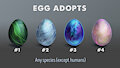 EGG Adopts - Auction (4/4 Open) by nubilum93