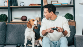 Pawsitively Perfect: Creating a Pet-Friendly Gaming Haven (Deal Amazon Deals)