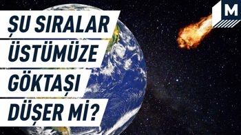 Sakin olun! Bilim insanları inceledi