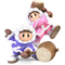 Ice Climbers SSBU.png