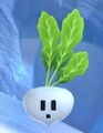 A turnip.