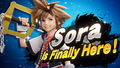 Splash art of Sora.