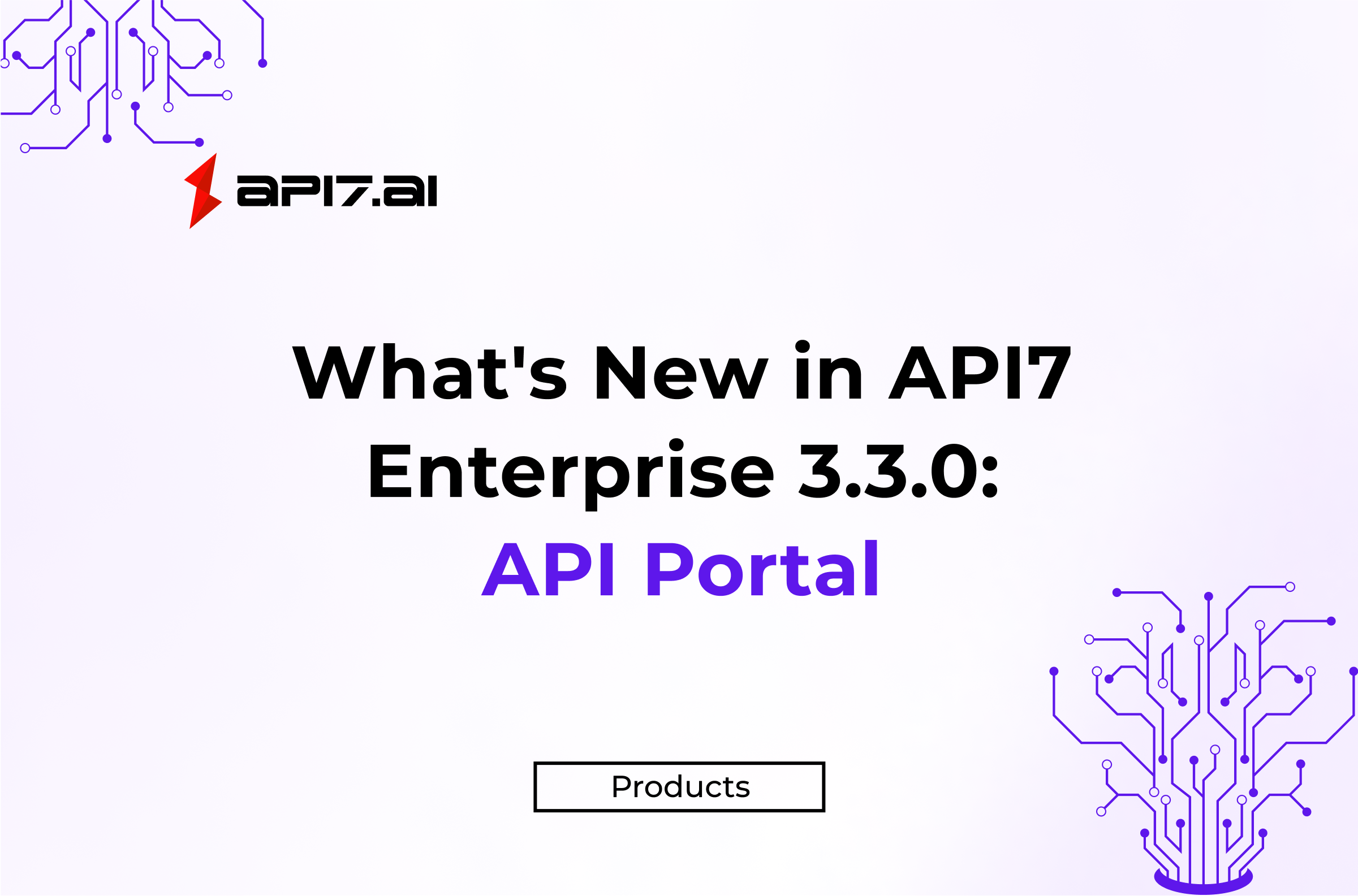 API7 Enterprise v3.3.0 Supports API Portal