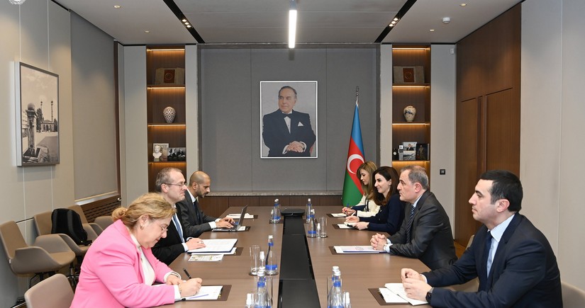 Azerbaijan and WHO mull joint healthcare projects