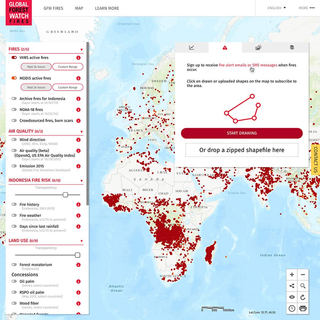 GO801_GNI_GlobalForestWatch_Card6_Image5.jpg