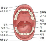 구강암