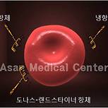 자가면역용혈질환